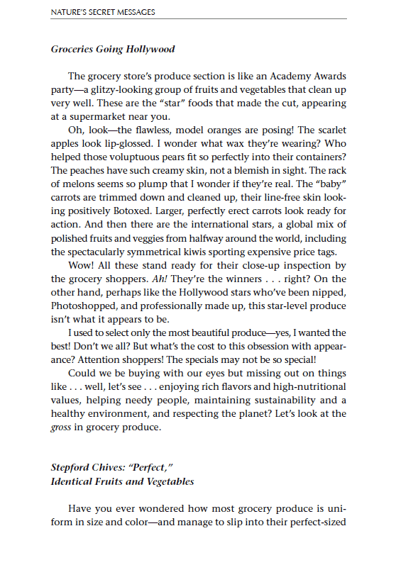 Excerpt2