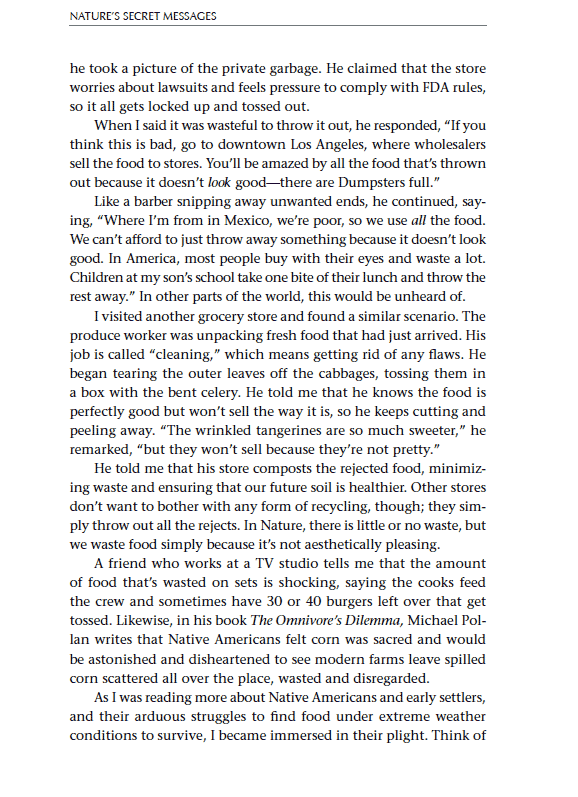 Excerpt 4
